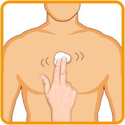 iTengo+動(dòng)態(tài)心電圖記錄器,動(dòng)態(tài)心電記錄器,動(dòng)態(tài)心電記錄儀,動(dòng)態(tài)心電圖,動(dòng)態(tài)心電圖記錄儀,12導(dǎo)動(dòng)態(tài)心電圖機(jī),24小時(shí)動(dòng)態(tài)心電圖檢測(cè),動(dòng)態(tài)心電檢測(cè)儀,心電監(jiān)護(hù)儀,動(dòng)態(tài)心電圖工作站,遠(yuǎn)程心電網(wǎng)絡(luò),博聲醫(yī)療,博聲醫(yī)械